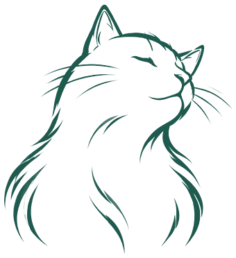 Illustration : chats