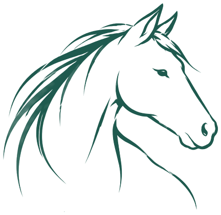 Illustration : chevaux