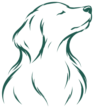 Illustration : chiens