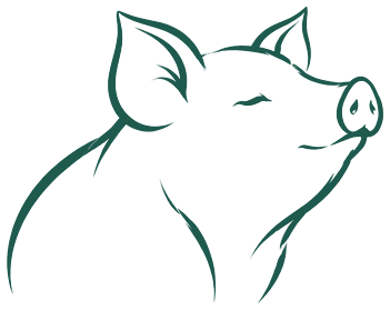Illustration : cochons