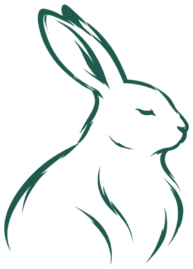 Illustration : lapins