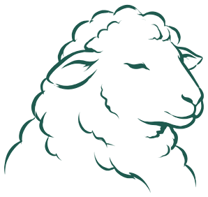 Illustration : moutons